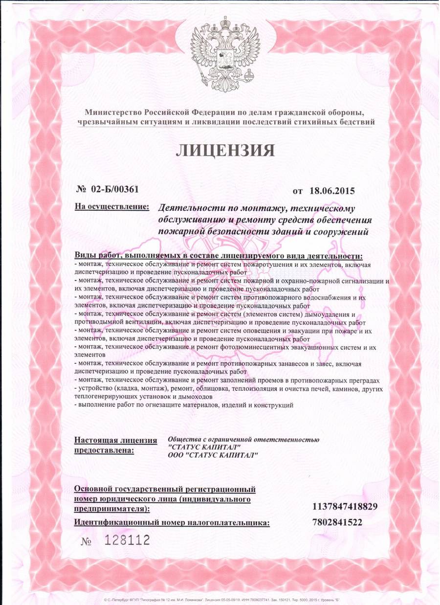 Скан документа: Лицензия МЧС России